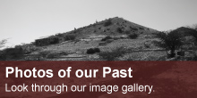 Image Gallery